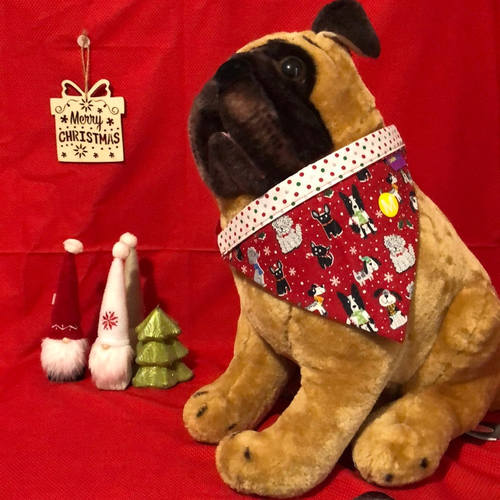 Pet Bandanna